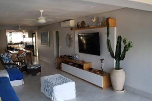 a living room with a tv and a cactus at Apartamento Sorocotuba Guaruja in Guarujá