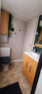 a small bathroom with a toilet and a sink at Mobil-home Le cocon in Canet-en-Roussillon