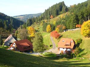 una pequeña casa en una colina en las montañas en Holzbildhauerei Kammerer, en Triberg