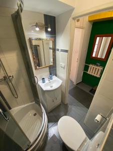 a bathroom with a white toilet and a sink at Pod Papugami in Srebrna Góra