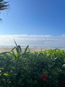 a bush in front of a beach with the ocean at Kitnet Towers in Praia Grande