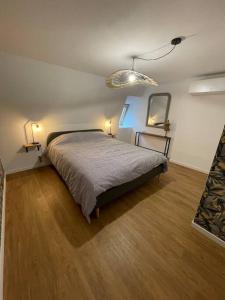 een slaapkamer met een bed, een spiegel en verlichting bij K-torze in Espalion