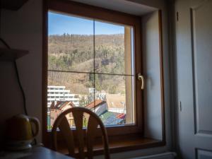 ein Fenster in einem Zimmer mit Blick auf ein Gebäude in der Unterkunft Ubytovanie Clematis in Trenčianske Teplice