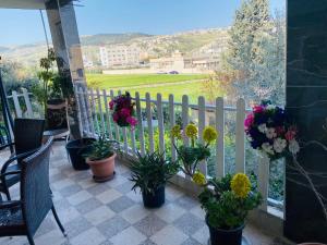 une terrasse couverte avec des plantes en pot et une clôture blanche dans l'établissement huseein rooms, à Jerash