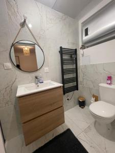 a bathroom with a sink and a mirror and a toilet at Le Graverend T2 Charmant et central in Rennes