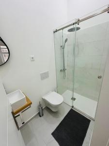 La salle de bains est pourvue d'une douche, de toilettes et d'un lavabo. dans l'établissement New Baixa Chiado Bedrooms, à Lisbonne