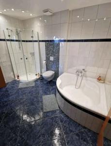 a bathroom with a shower and a tub and a toilet at Spacious 100sq m apartment in Tuchenbach