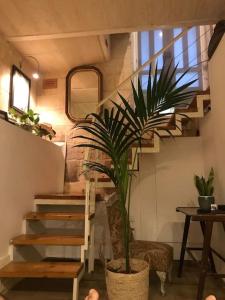 a potted plant in a room with a staircase at Valletta's Charming Loft Accommodation in Valletta