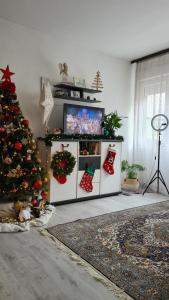 Et tv og/eller underholdning på Peni Apartman Centar