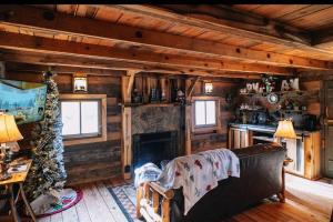 - un salon avec une cheminée dans une cabane en rondins dans l'établissement Bear Necessities, à Sevierville