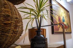 una pianta in un vaso nero seduta su un tavolo di Blue Door Valletta a La Valletta Altre 15 foto