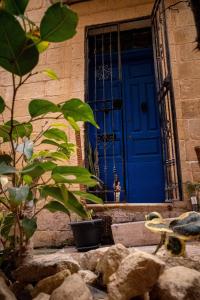una porta blu con una pianta di fronte a un edificio di Blue Door Valletta a La Valletta