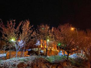Una casa con luces de Navidad en los árboles por la noche en Arnovalley Hotel en Urgup