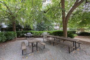 a park with two benches and a tree at Incredible 1 BR Apt + Den @Crystal City With Gym in Arlington