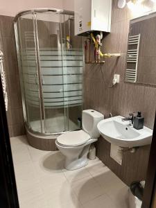y baño con ducha, aseo y lavamanos. en Wawel Apartament Centrum, en Cracovia