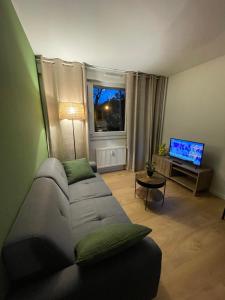 sala de estar con sofá y TV en Le Wimbledon en Chalon-sur-Saône