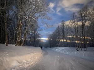 a snow covered road with trees and buildings in the background at På toppen av Tromsøya. Rett ut i naturen! in Tromsø