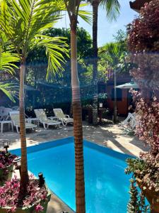 a pool with two palm trees in a yard at Pousada Alforria in Búzios