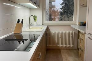 eine Küche mit einem Waschbecken und einem Fenster in der Unterkunft Private Rooms in Hannover
