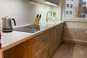eine Küche mit einer Spüle und einer Arbeitsplatte in der Unterkunft Private Rooms in Hannover
