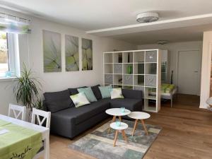 ein Wohnzimmer mit Sofa und Tisch in der Unterkunft Wohnstudio für bis zu 1-4 Personen nahe Bodensee in Stockach