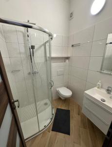 a bathroom with a shower and a toilet and a sink at Minihotel Vitex in Prague