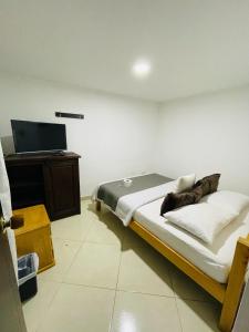 a bedroom with a bed and a desk and a television at Hotel Colonial El Bosque Dorado in Tunja
