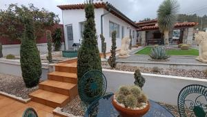 a house with a garden with cactus at Orion Guest Villa Casais in Lousada