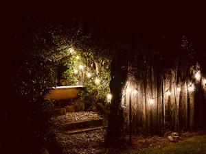 un jardín por la noche con luces en una valla en Drifting Sands Beachfront Retreat en Hokitika