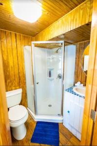 e bagno con doccia, servizi igienici e lavandino. di Ocean Front Villa 4 Studio a Culebra