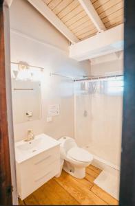 La salle de bains blanche est pourvue de toilettes et d'un lavabo. dans l'établissement Ocean Front Villa 1, à Culebra