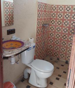 a bathroom with a white toilet and a sink at Ouirgane discovery lodge in Ouirgane