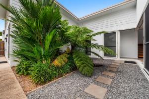 a house with a palm tree in front of it at Beachmont Bliss Palm Cove in Palm Cove