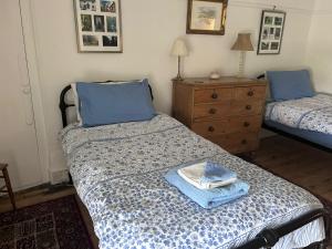 a bedroom with two twin beds with blue pillows at Tawleat in Okehampton