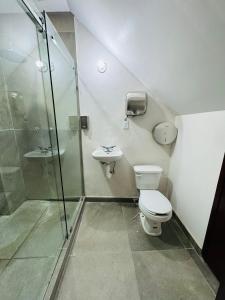 a bathroom with a shower and a toilet and a sink at Departamento PYO in Mexico City