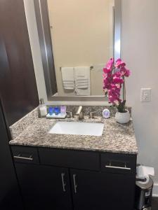 a bathroom counter with a sink and a mirror at Buckhead Luxe in Atlanta