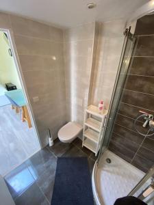 y baño pequeño con ducha y aseo. en Logement Lumineux - Leuville-sur-Orge en Leuville-sur-Orge
