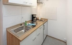 een keuken met een wastafel en een koffiezetapparaat bij Altstadt Apartments Malchow in Malchow