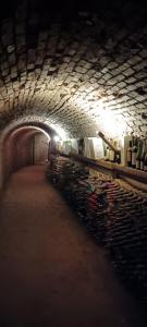 Fotografie z fotogalerie ubytování el oráculo. cava de vinos. unión club v destinaci El Sauce