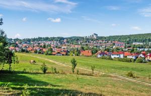 a horse grazing in a field with a town in the background at Lovely Apartment In Friedrichroda With Kitchen in Friedrichroda