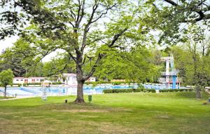 un grand arbre dans un parc avec une piscine dans l'établissement Lovely Apartment In Friedrichroda With Kitchen, à Friedrichroda