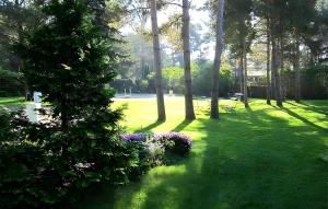 a park with a tree and flowers in the grass at Ferienwohnung Pruchten in Pruchten +4 photos