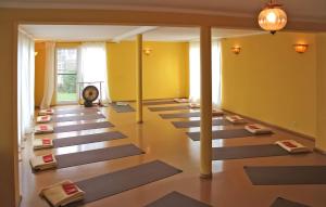 una stanza con un mucchio di tappetini per lo yoga sul pavimento di 1 Bedroom Nice Home In Pruchten a Pruchten