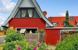 Pruchten的住宿－1 Bedroom Nice Home In Pruchten，红色的房子,有窗户和一些鲜花