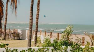 Blick auf einen Strand mit Palmen und das Meer in der Unterkunft Villa Mango Beach Houses in Praia de Moitas