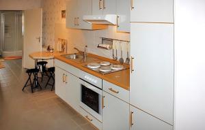 cocina con fregadero y fogones horno superior en Gorgeous Home In Waren mritz With Wifi, en Warenshof