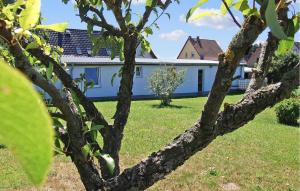 a tree in a yard with a house in the background at 1 Bedroom Gorgeous Home In Feldberger Seenlandsch in Dolgen