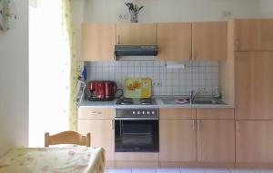 uma pequena cozinha com um fogão e um lavatório em 1 Bedroom Nice Apartment In Waren mritz em Waren