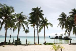 a group of palm trees on a beach with the ocean at Seaworthy Boracay in Boracay
