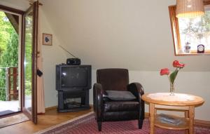 a living room with a chair and a television at Nice Apartment In Dierhagen ostseebad With Wifi in Neuhaus